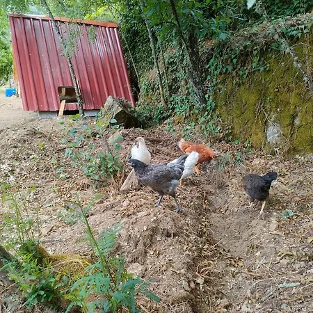 Kamp alanı Quinta Dos Covoes Fornos de Algodres
