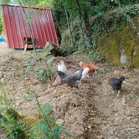 Kemping Quinta Dos Covoes Fornos de Algodres